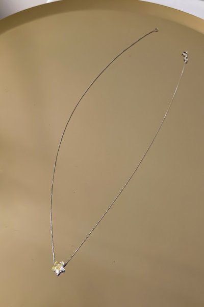 Özel Seri Yanar Döner Taşlı Minimal Yıldız Figür Kolye (46cm)